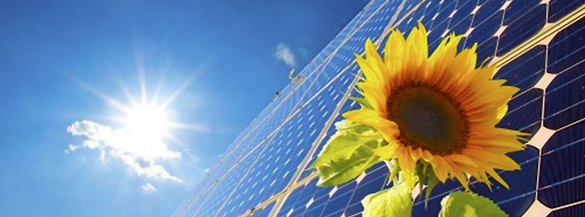 Progettazione e Gestione dell'Energia